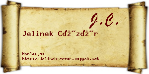 Jelinek Cézár névjegykártya